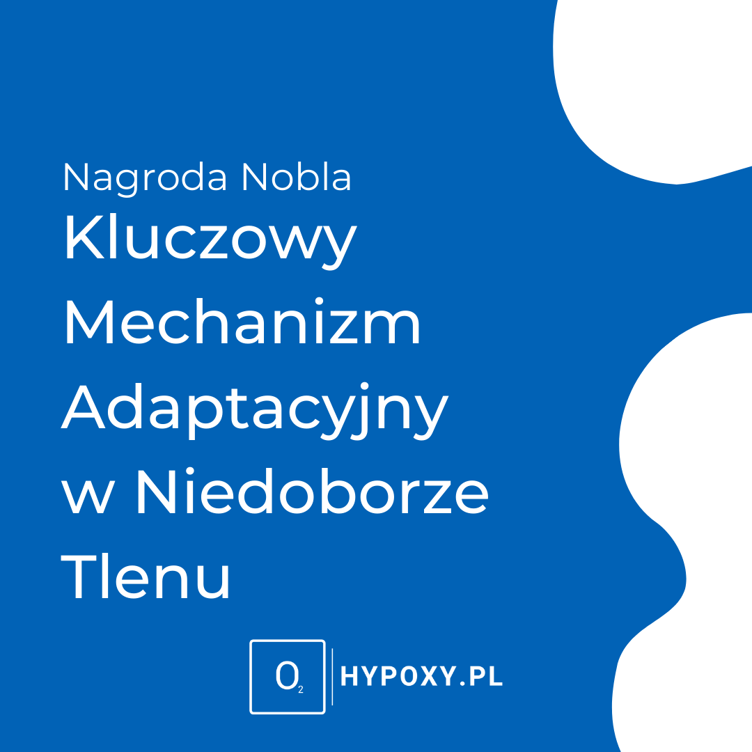 Nagroda Nobla - kluczowy mechanizm adaptacyjny komórek w niedoborze tlenu