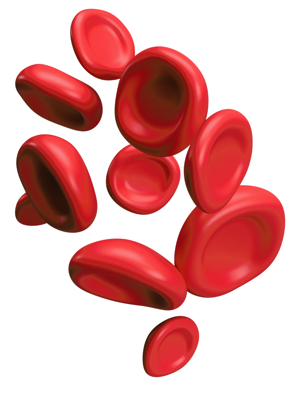 hematologia