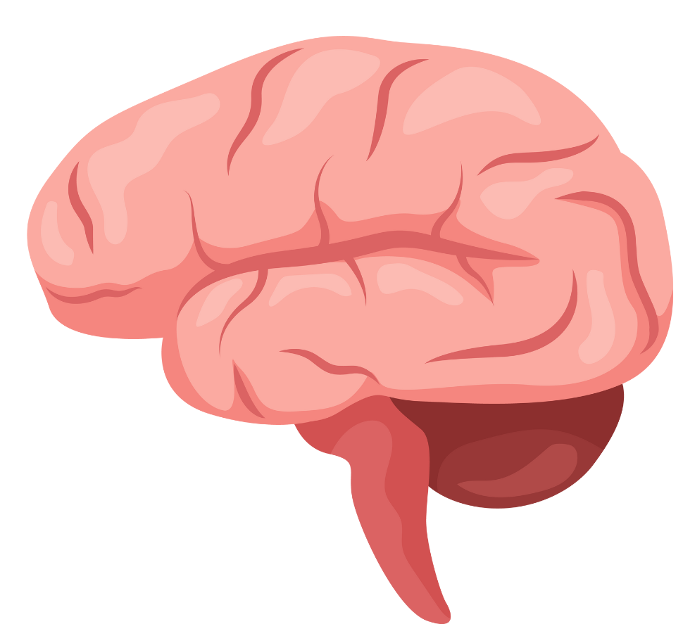 neurologia